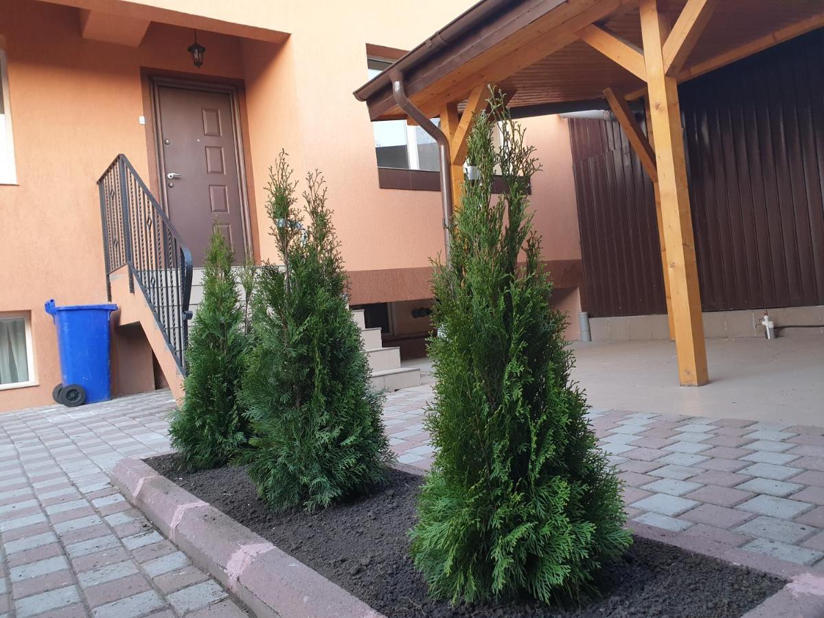 Apartment Villa 부쿠레슈티 외부 사진